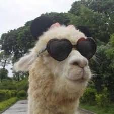 Vincent Marcos avatar